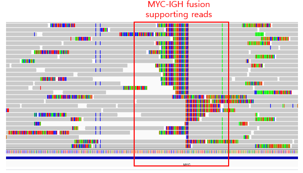 gene fusions were missed · Issue #467 · PapenfussLab/gridss · GitHub