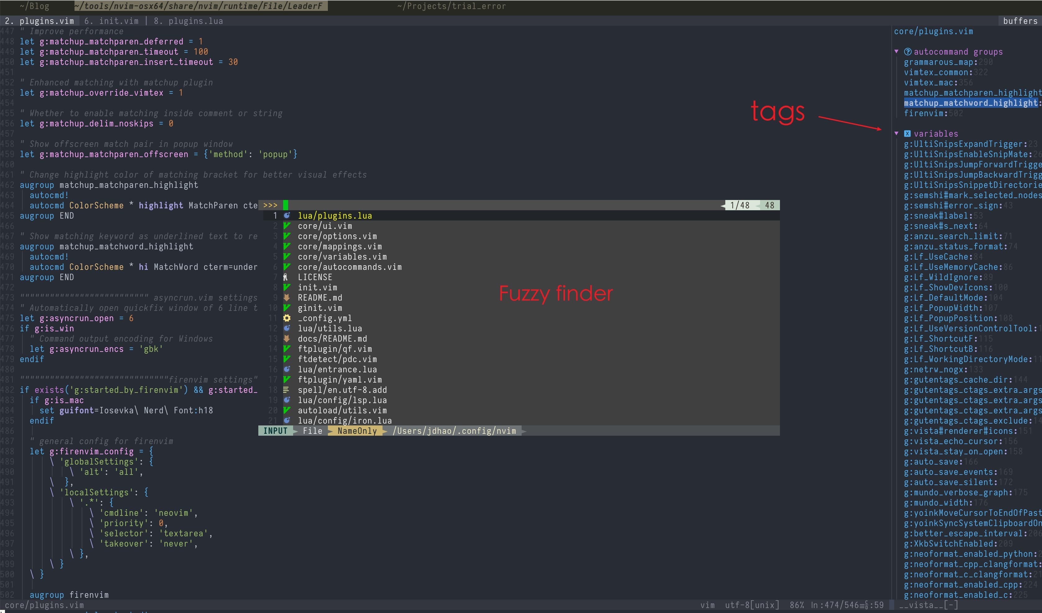 nvim-conf-tags-fuzzy-finder