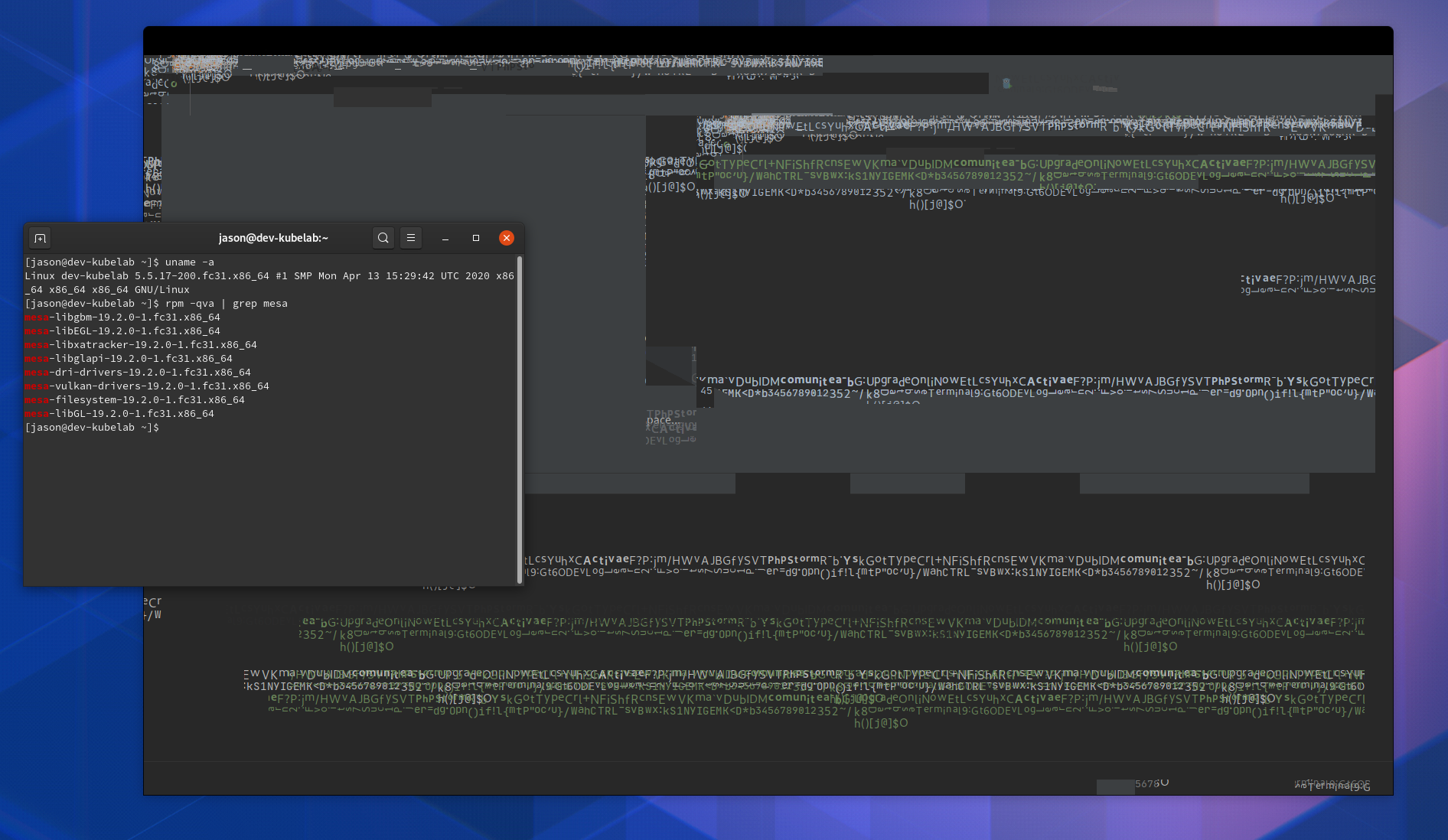 3D Graphics Acceleration causes gnome window display issues in Fedora