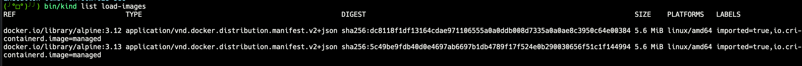 Screen Shot 2021-08-20 at 15 13 47