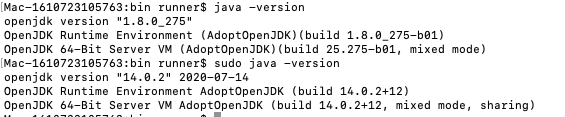 Different Java version with and without sudo on macOS images · Issue ...