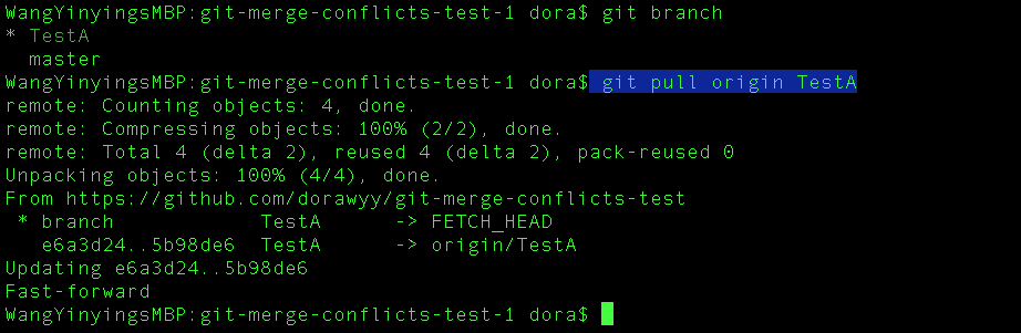 [testcase notes] #4: two developers work on the same branch ...