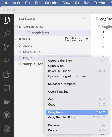 File path when dragging file or folder from Visual Studio Code · Issue ...