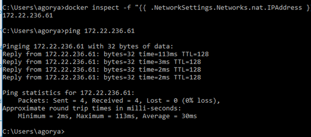 Docker Container url not accessible through localhost or ip on windows ...
