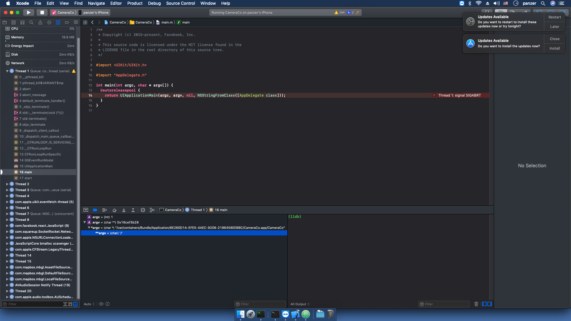 App crashes with SIGABRT error when receiving a call. · Issue #1639 ...