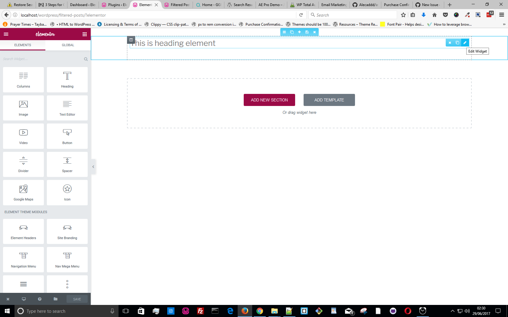 elementorwidget