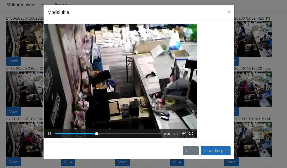 GitHub dk76/MotionViewer