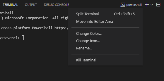 context menu to toggle fixed width not displayed for single terminal ...