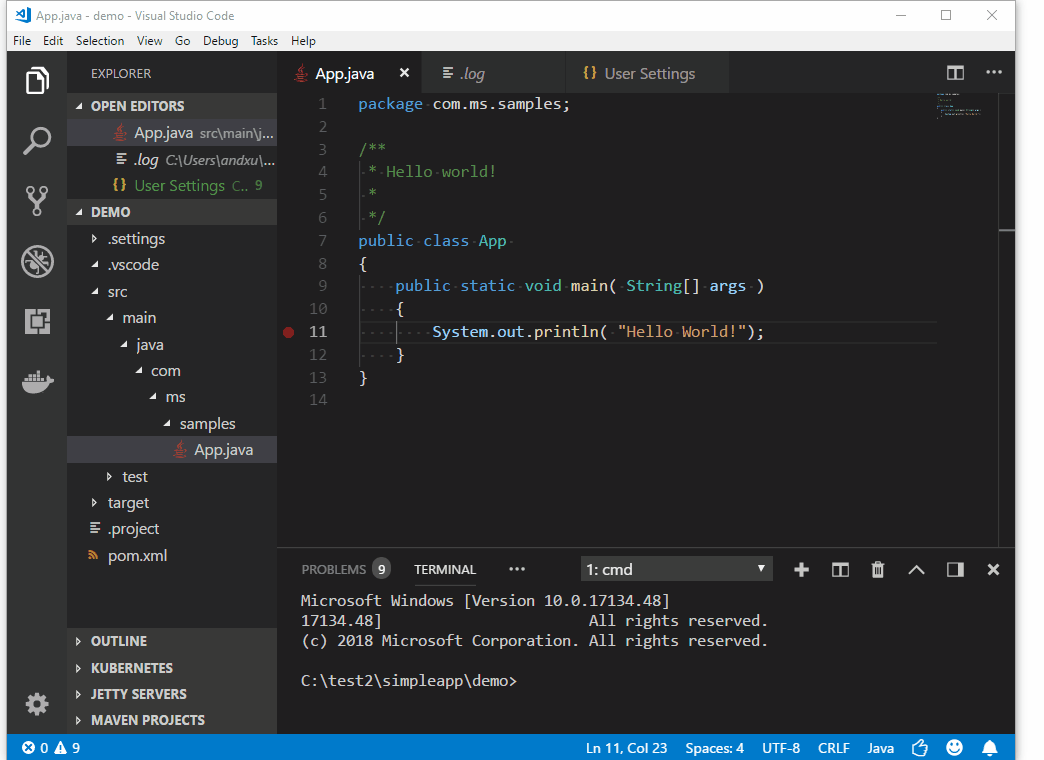 Language Server doesn't work, the generated launch.json is not right ...