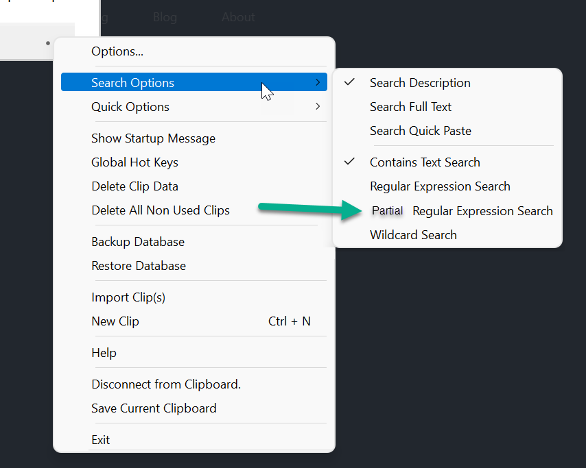 Partial regular expressions · Issue #345 · sabrogden/Ditto · GitHub
