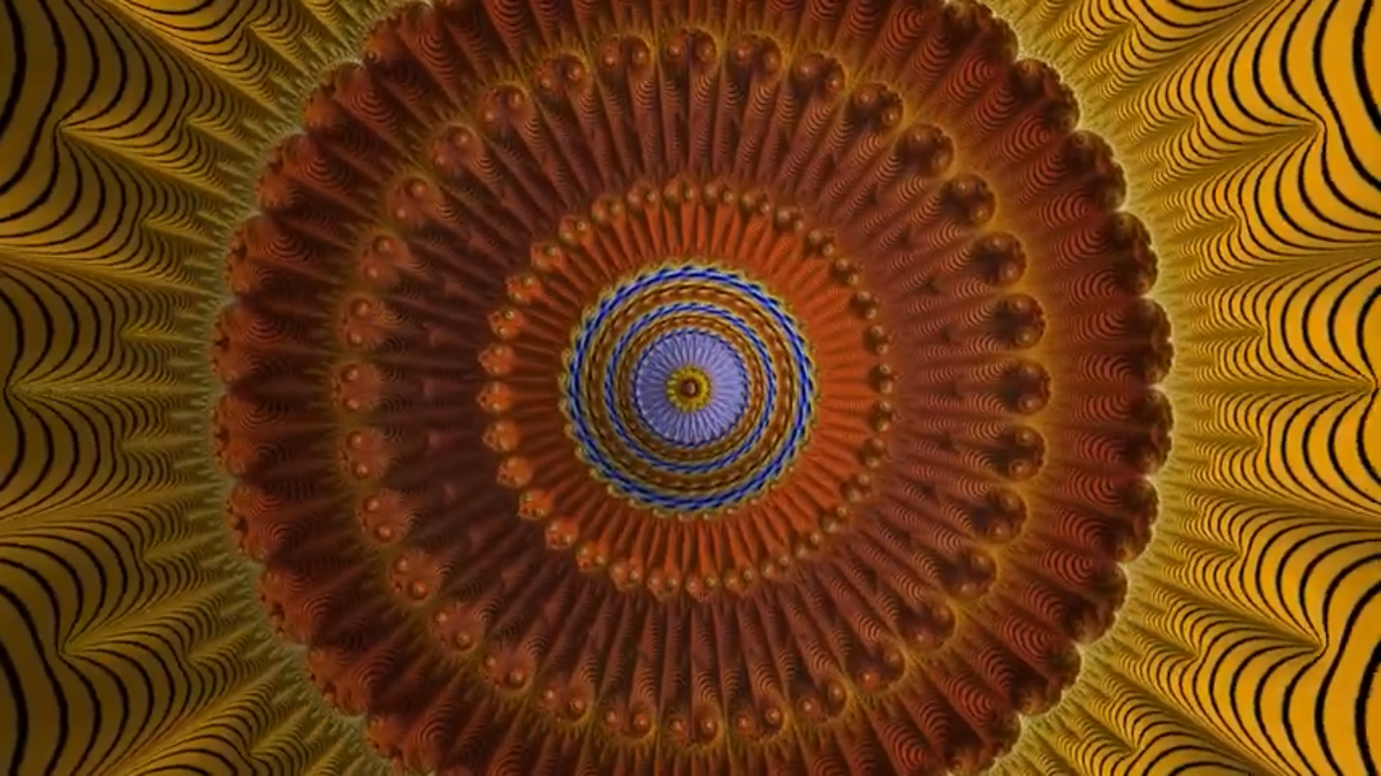 6493CA51-08AE-4C4D-A2DB-0230DE700F0B