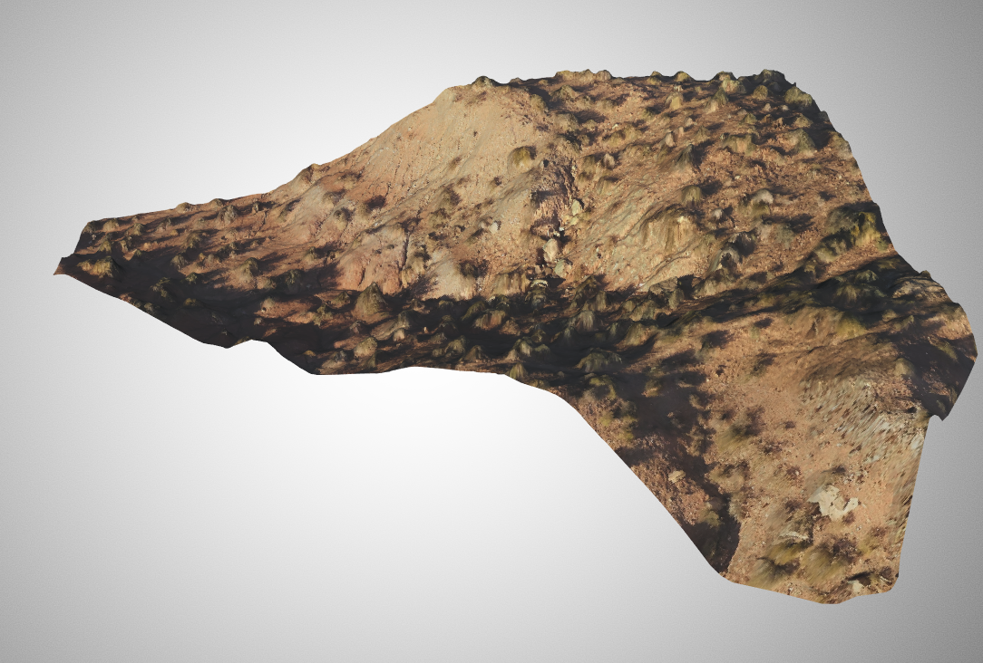 Rock