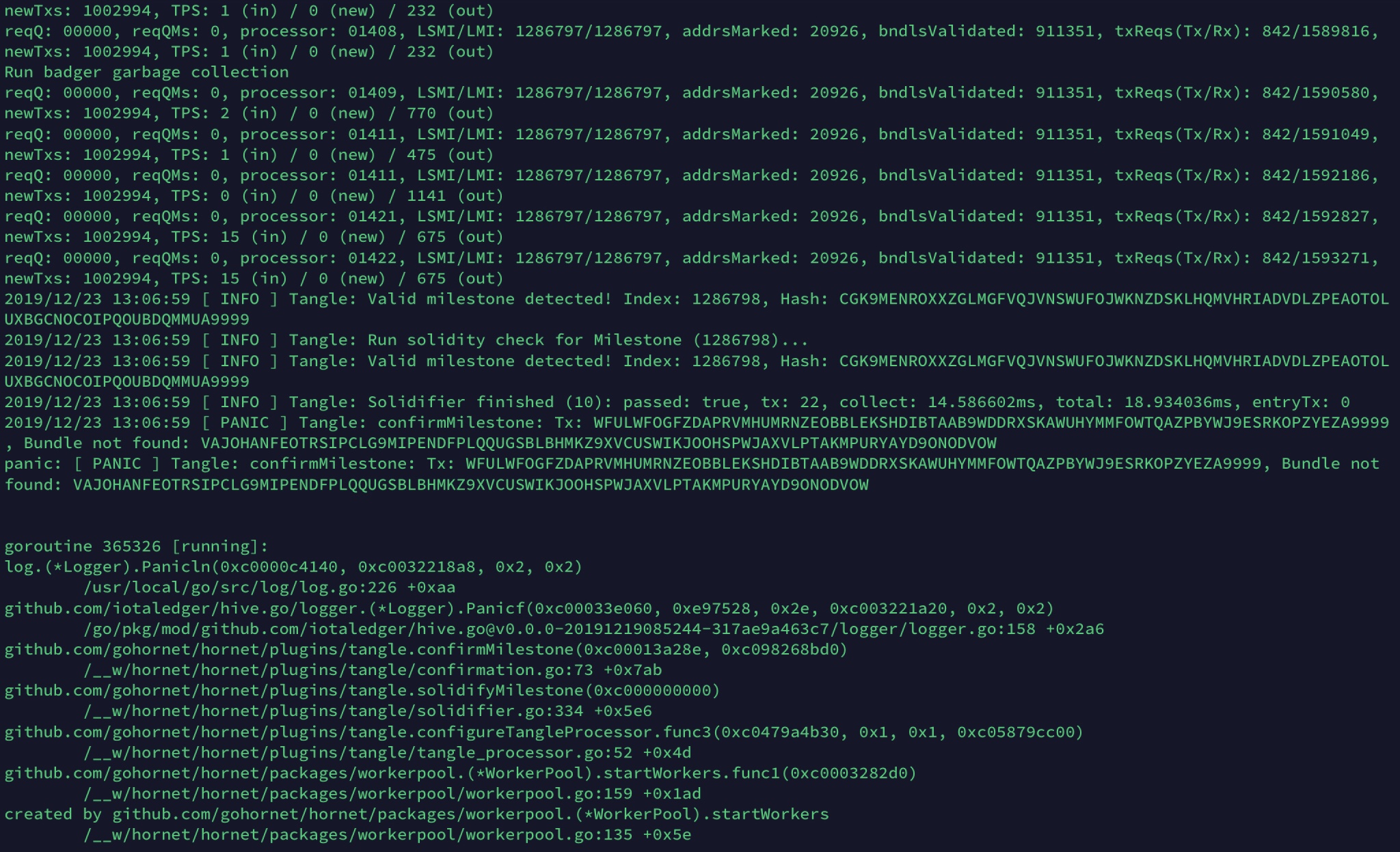 PANIC bundle not found · Issue #96 · iotaledger/hornet · GitHub