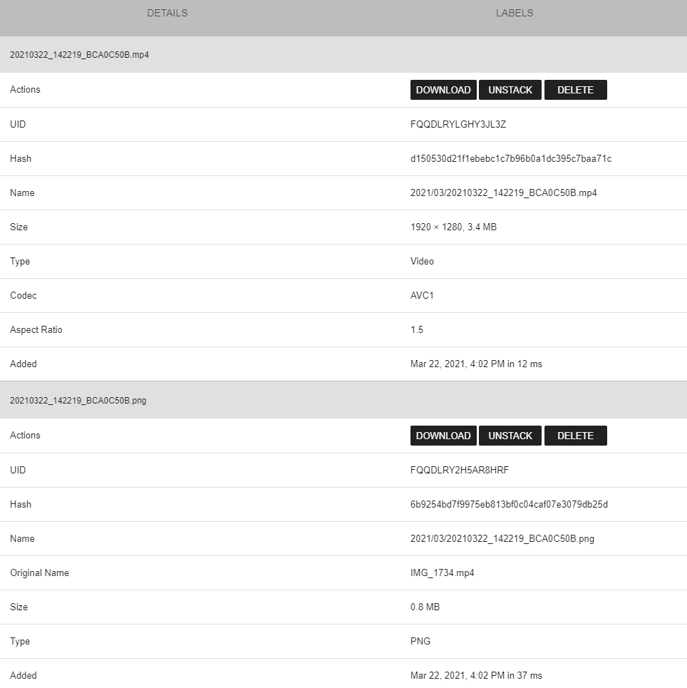 Video constantly reappears in Review · Issue 1195 · photoprism
