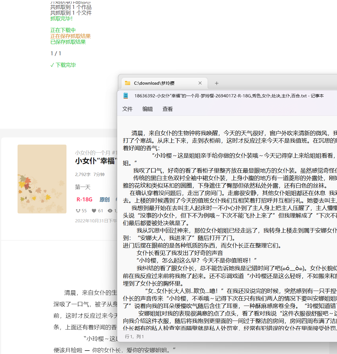 小说无法保存 · Issue #300 · xuejianxianzun/PixivBatchDownloader · GitHub
