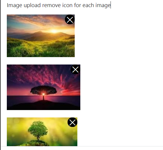 while upload images, remove or delete icon NOT available for each Image ...