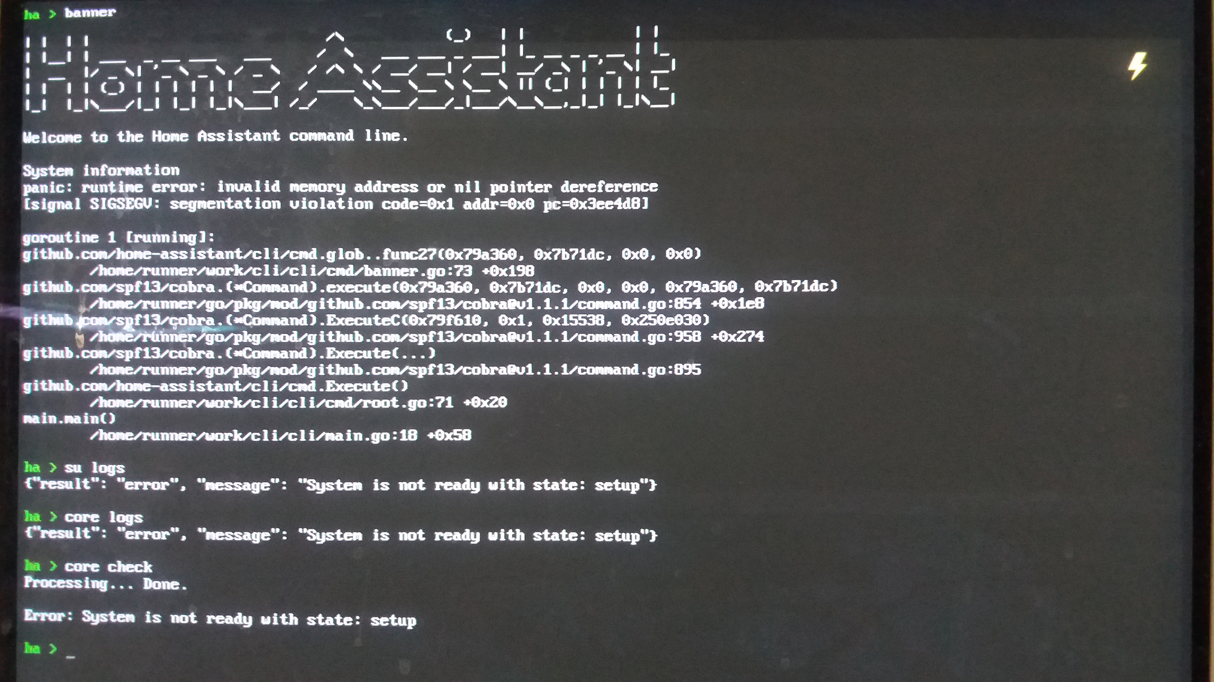 Panic: runtime error: invalid memory address or nil pointer deference ...