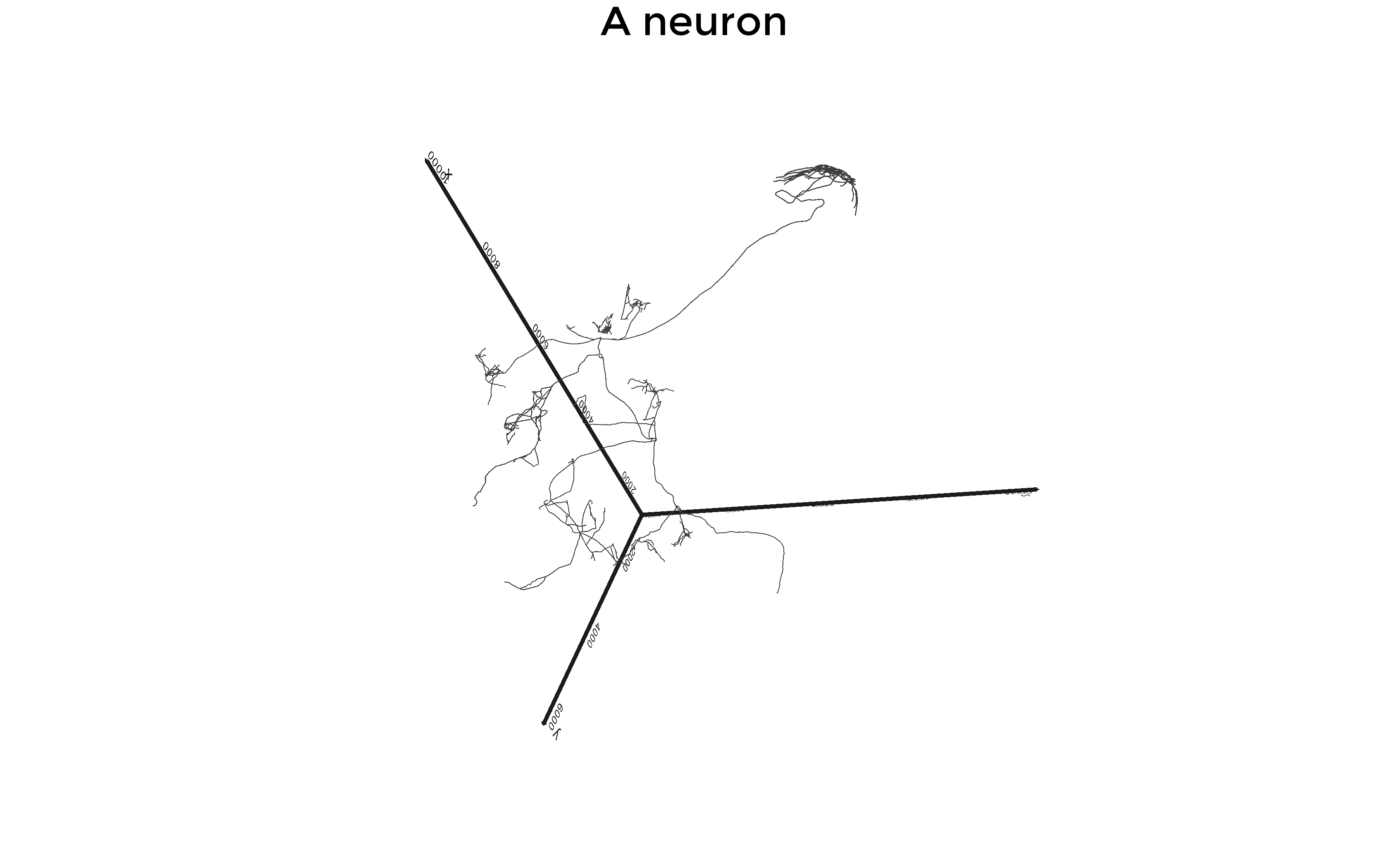 Screenshot 2020-05-12 at 20 43 07