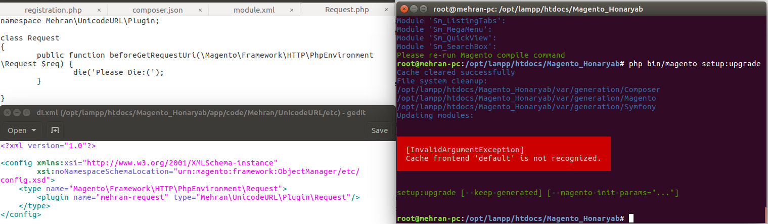 magento_class_override_error