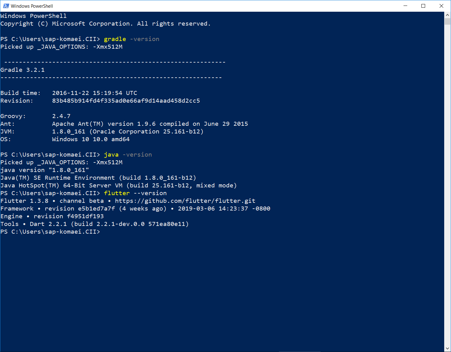 errro on run · Issue #30597 · flutter/flutter · GitHub