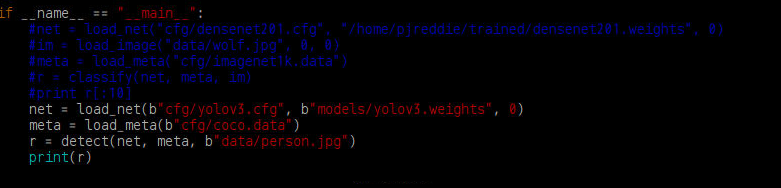 python api run well but no result · Issue #1371 · pjreddie/darknet · GitHub