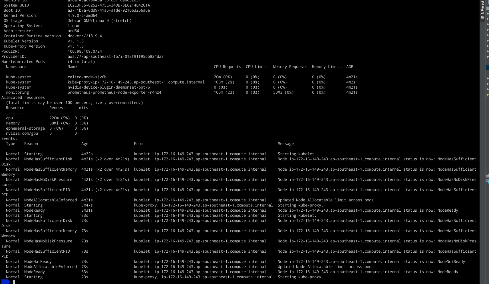Kops execContainer hook to install nvidia-docker creates orphaned