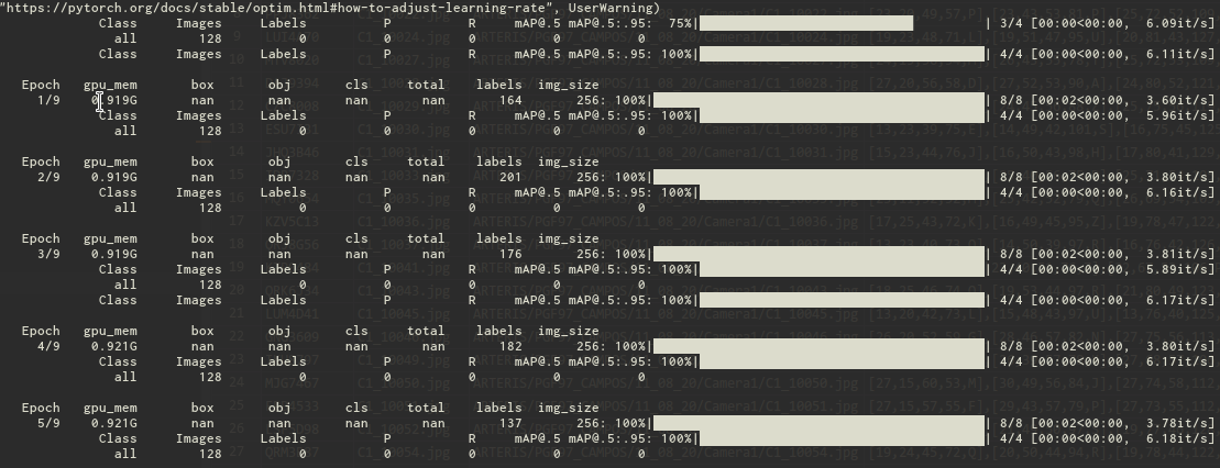 pytorch cuda download