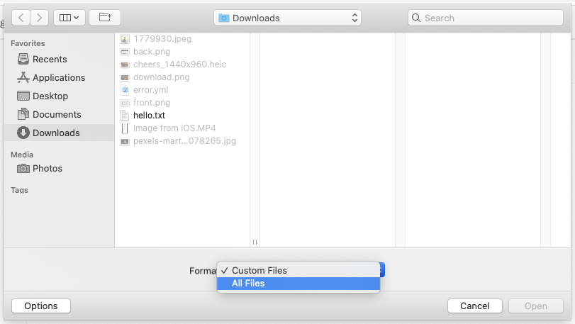 File Input: Format validation is limited to drag-and-drop · Issue #4053 ...
