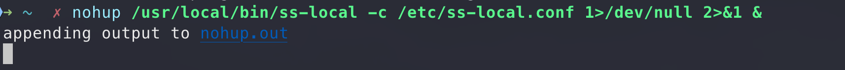 nohup and & can not be background process when the command finished ...