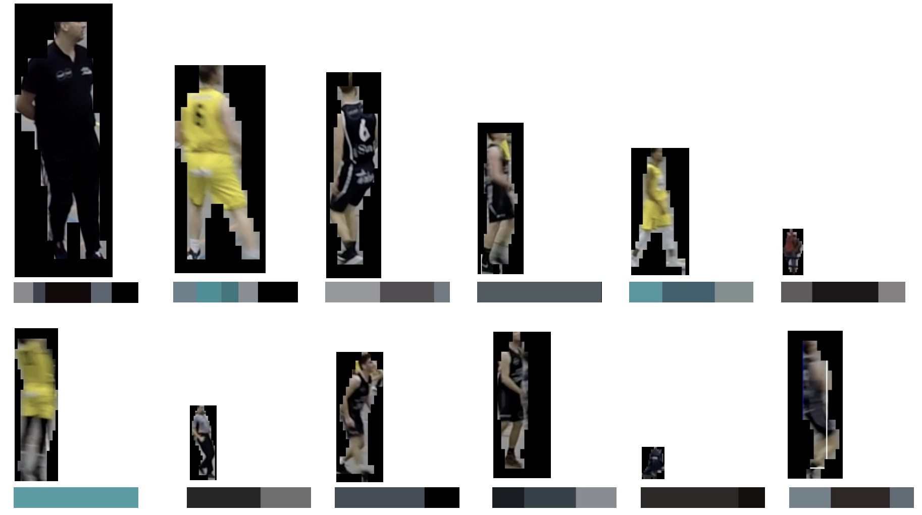 classification