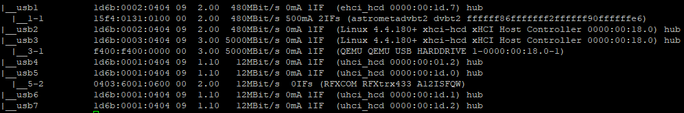 Restore USB devices support · Issue #228 · fbelavenuto/arpl · GitHub