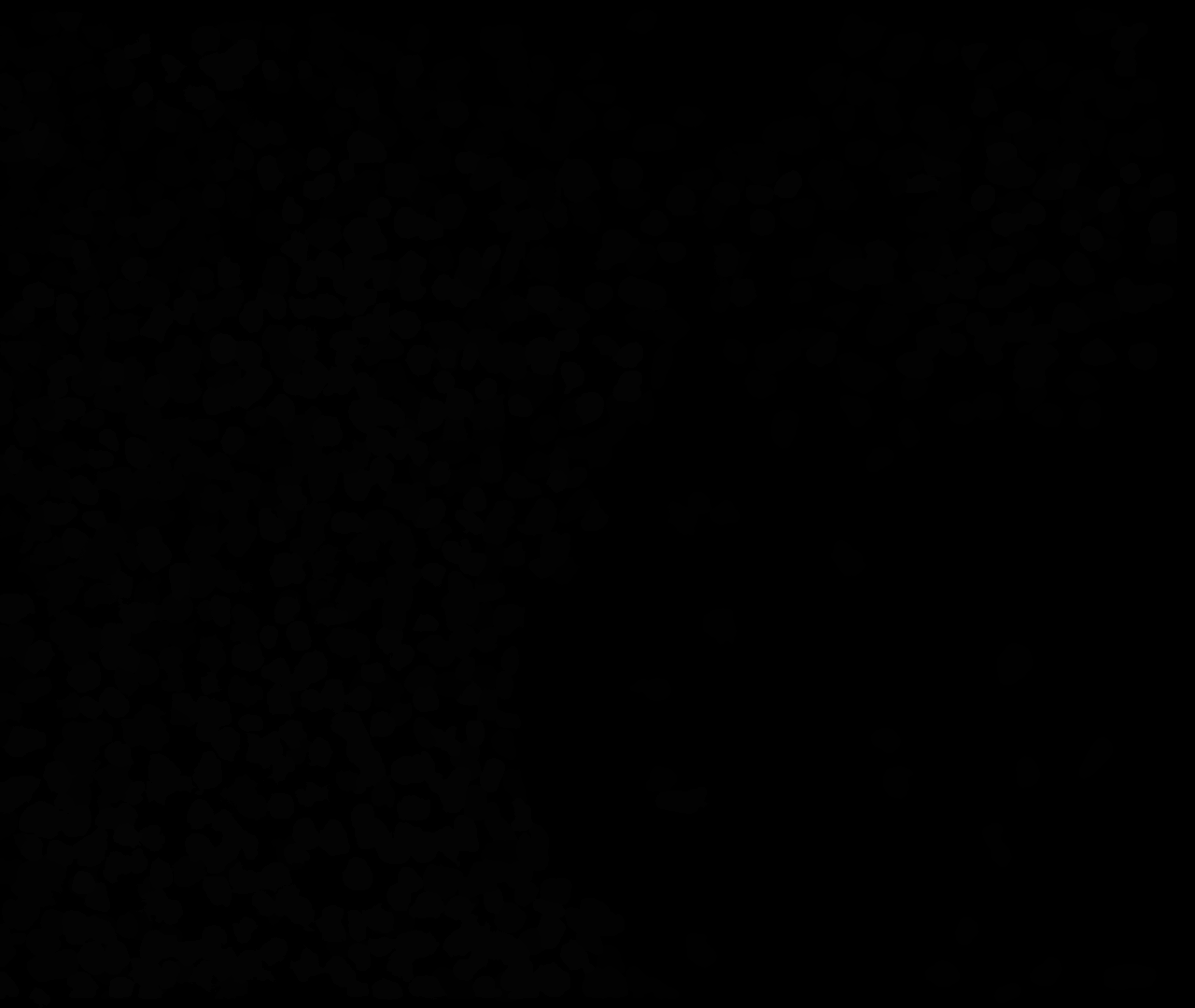 Example_img