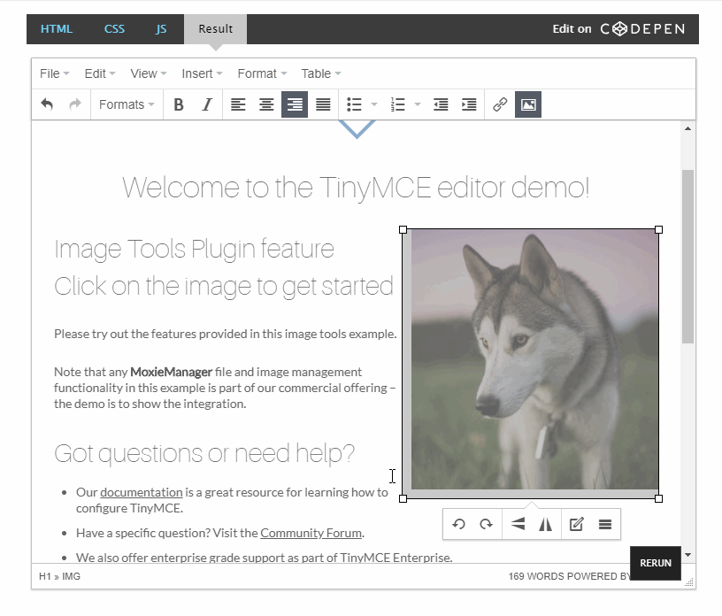 tiny-mce-scale-units