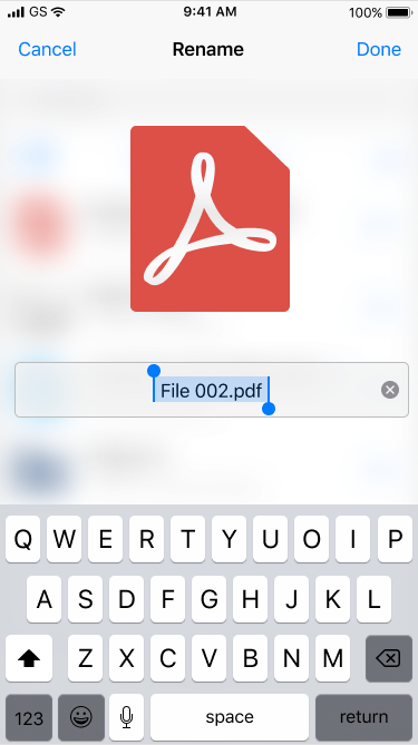 rename document pdf v2