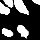 211789_OriginalMask