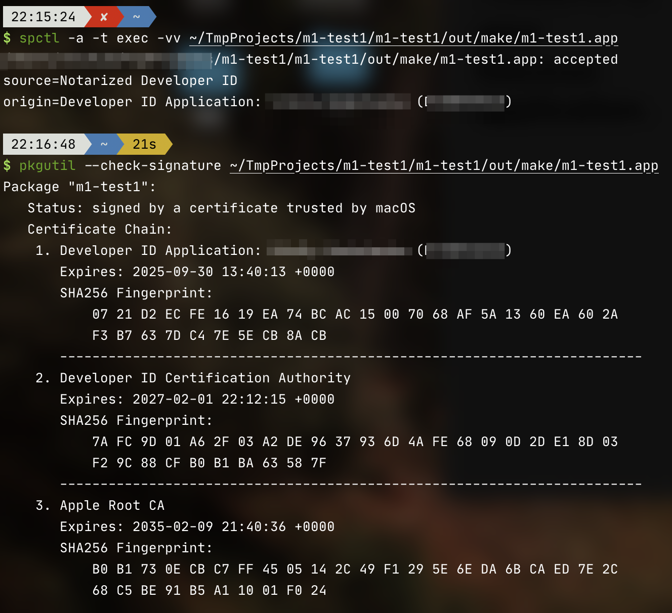 Unable to launch signed and notarized app on macOS Big Sur · Issue ...