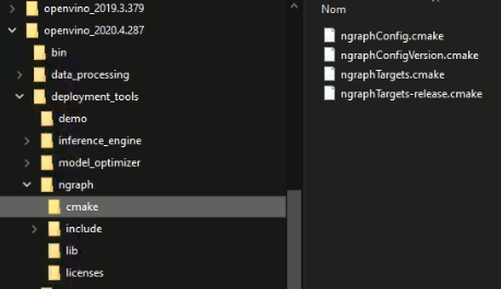 OpenVino 2020 - crash in ngraph.dll but only in debug · Issue #17854 ...