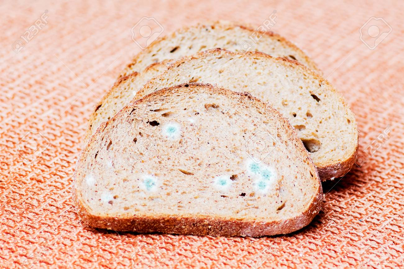 stale bread
