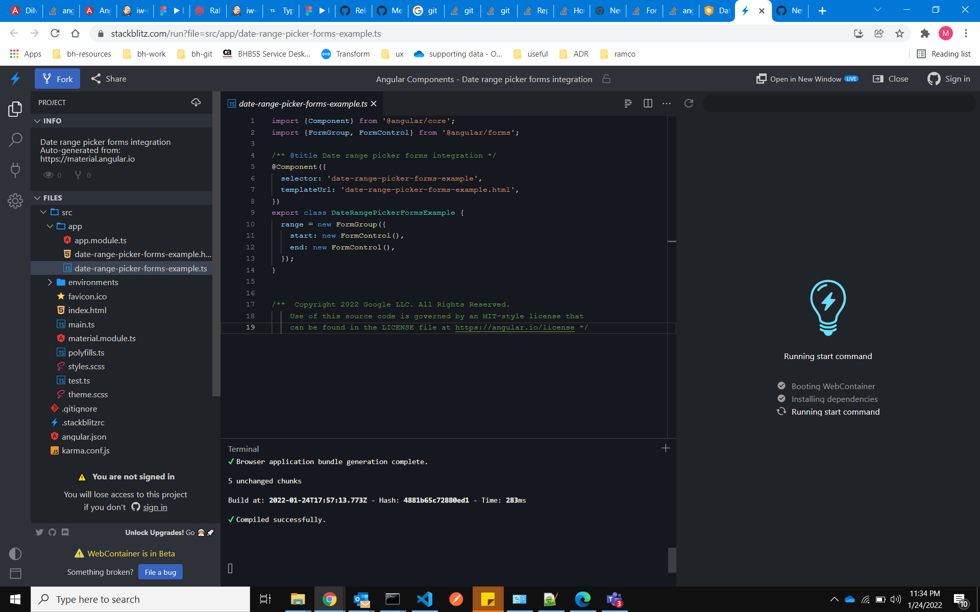 The webpage never loads and shows running start command spinner ...