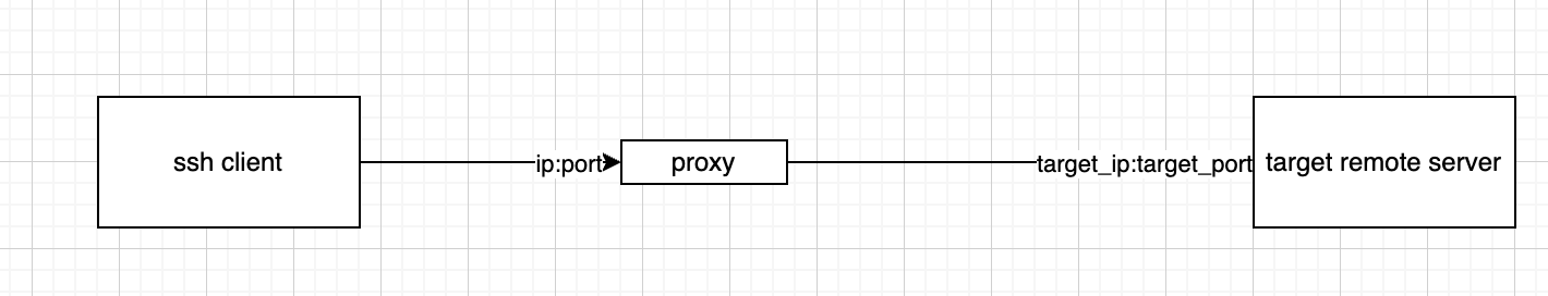 how to access remote server via a tcp proxy? · Issue #56 · melbahja ...