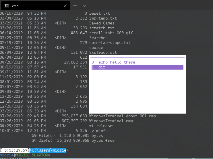 Prompt, history · Issue #9645 · microsoft/terminal · GitHub