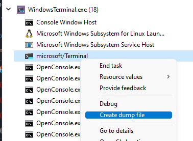 Microsoft Terminal GUICONSOLE. Microsoft Terminal service show Active sessions. One term Toriess. Microsoft terminal