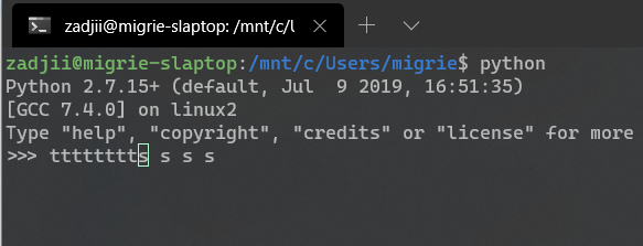 Line with multiple whitepaces in Python REPL gets written over · Issue ...