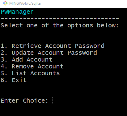 GitHub - Sanavixx/PWManager