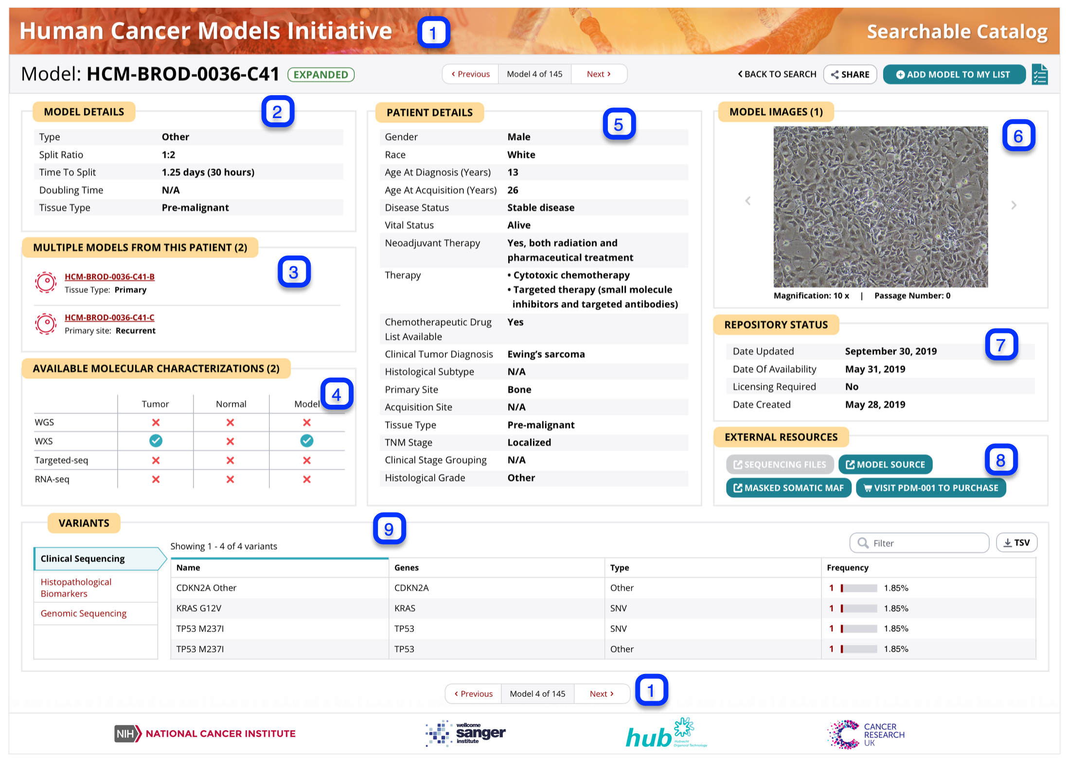 UI Restyle Model Details Page · Issue 602 · ncihcmicatalog/portal