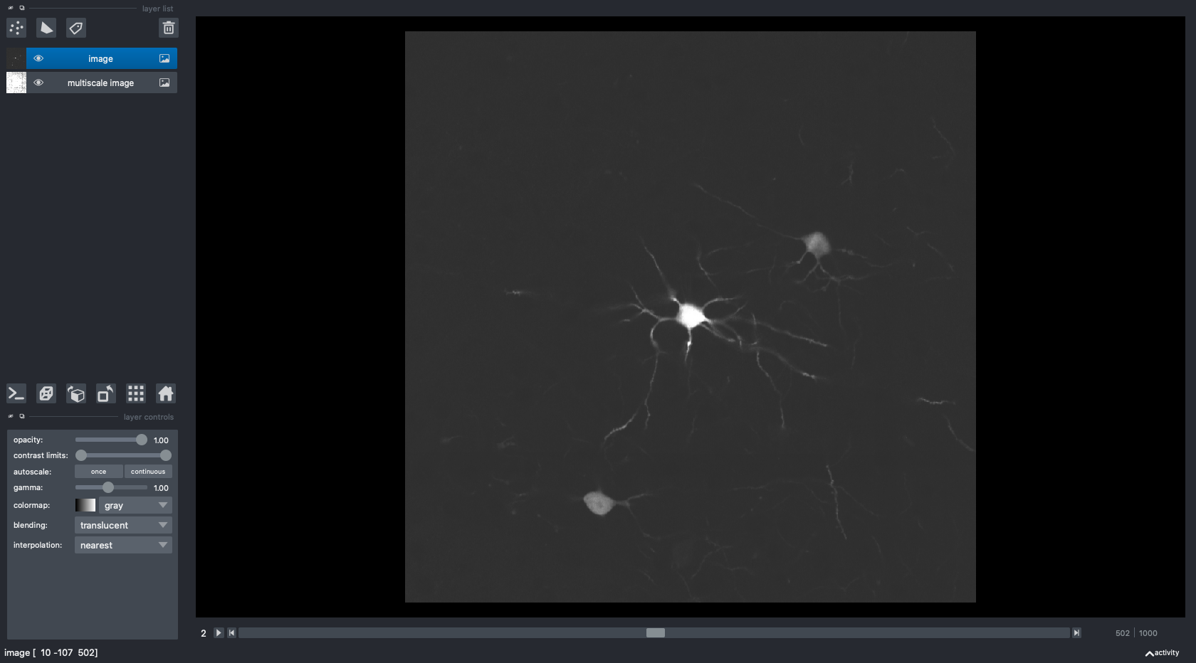 Multiscale Image Rendering · Issue #3556 · napari/napari · GitHub