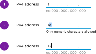 masked-input-error-handling