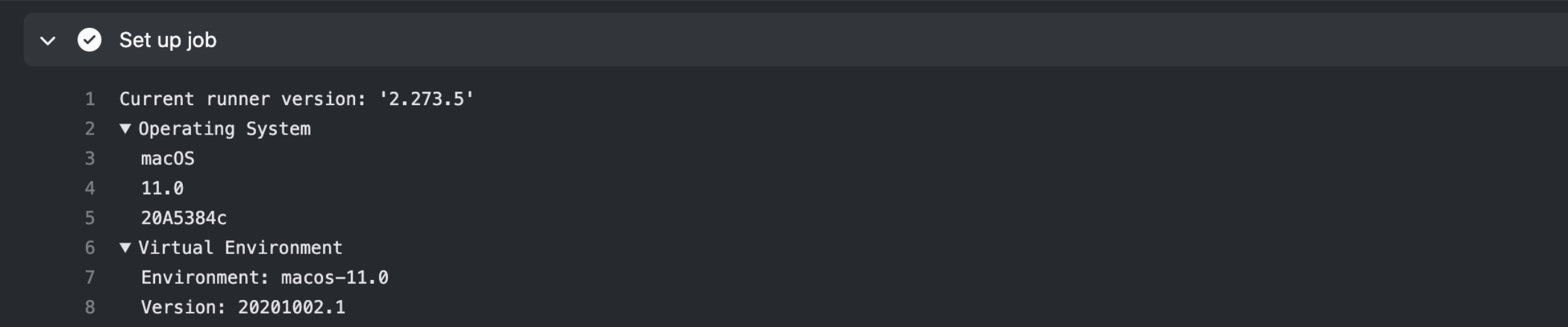Screenshot of run using macOS 11
