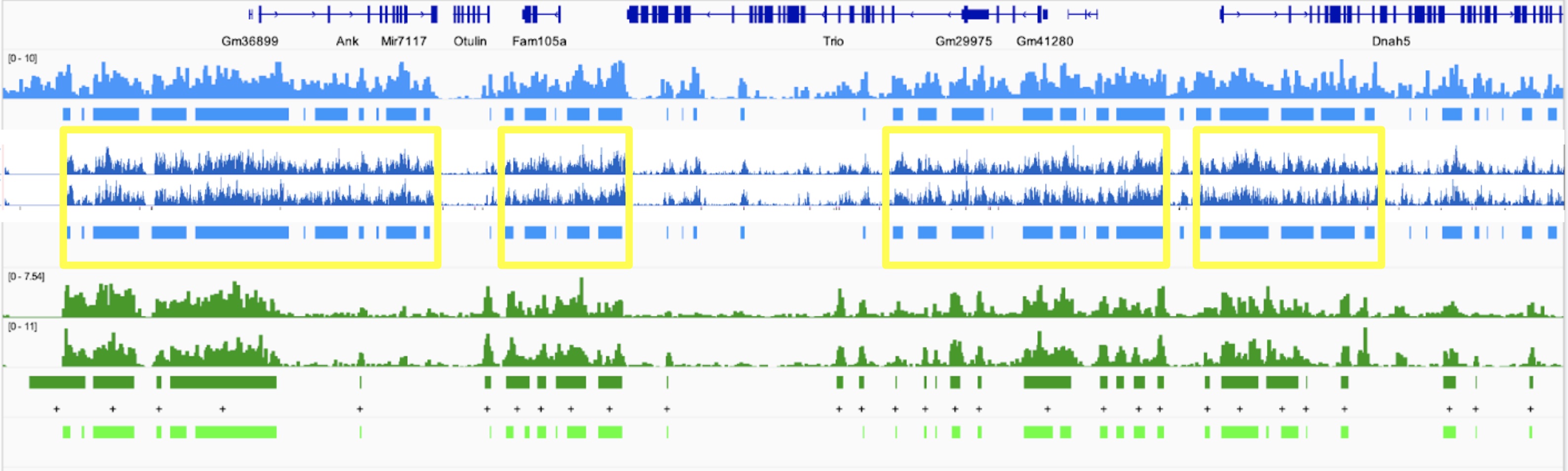 IGV genome tracks like in UCSC browser · Issue #1264 · igvteam/igv · GitHub