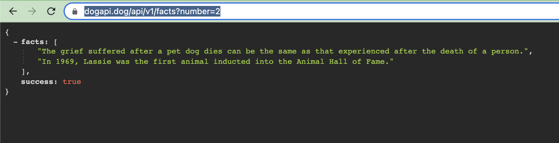 Data returned from the Dog Facts API